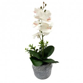 Ghiveci cu orhidee (42 cm)