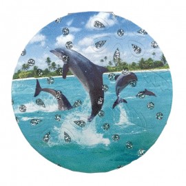 Oglinda poseta - delfini