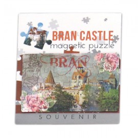 Magnet puzzle - Bran