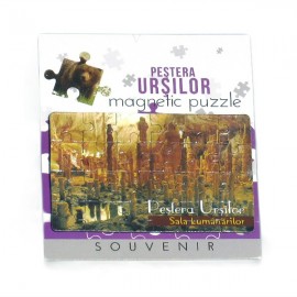 Magnet puzzle - Pestera Ursilor