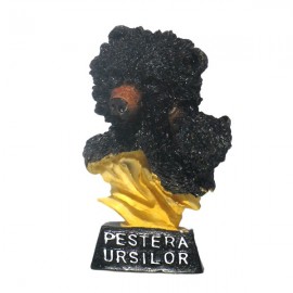 Magnet - Pestera Ursilor (8 cm)